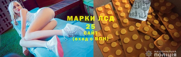 дмт Елабуга