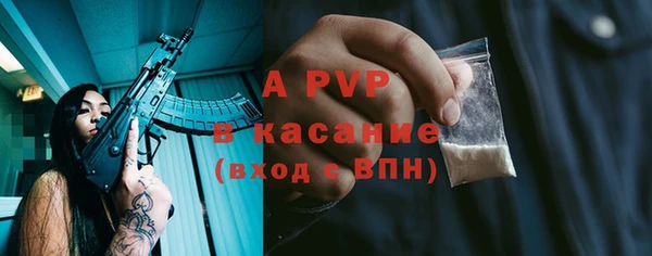 ешки Елизово