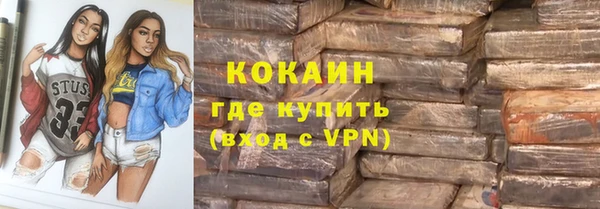 ПСИЛОЦИБИНОВЫЕ ГРИБЫ Ельня