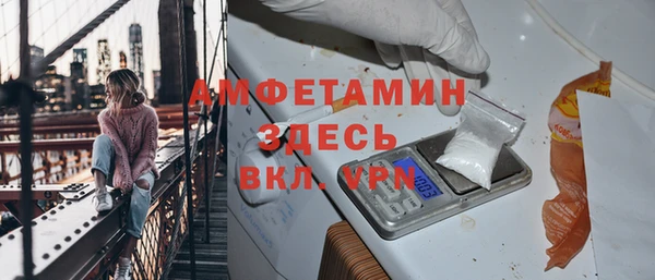 ПСИЛОЦИБИНОВЫЕ ГРИБЫ Ельня