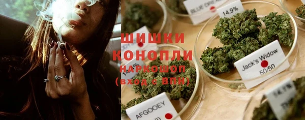 ПСИЛОЦИБИНОВЫЕ ГРИБЫ Ельня
