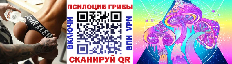 Галлюциногенные грибы Cubensis Златоуст